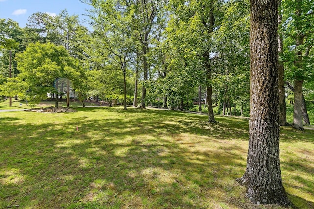 891 Fleetwood Dr, Lookout Mountain, TN 37350 - photo 12