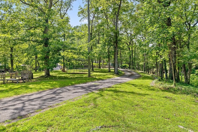 891 Fleetwood Dr, Lookout Mountain, TN 37350 - photo 11