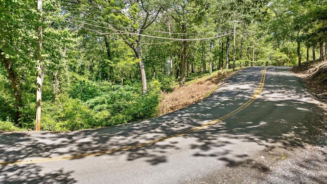 891 Fleetwood Dr, Lookout Mountain, TN 37350 - photo 23