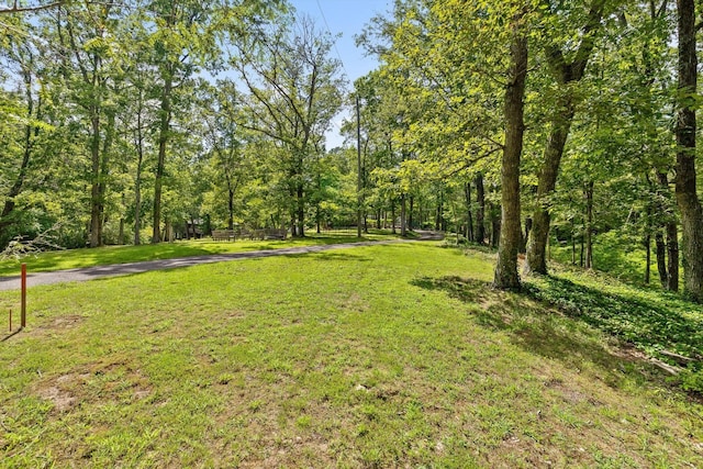 891 Fleetwood Dr, Lookout Mountain, TN 37350 - photo 9