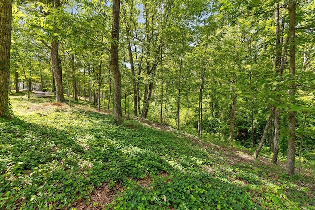 891 Fleetwood Dr, Lookout Mountain, TN 37350 - photo 10