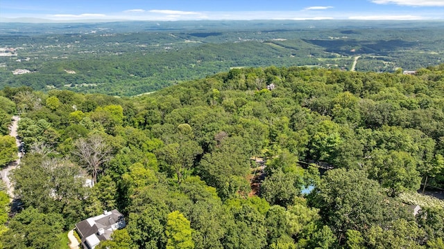 891 Fleetwood Dr, Lookout Mountain, TN 37350 - photo 15