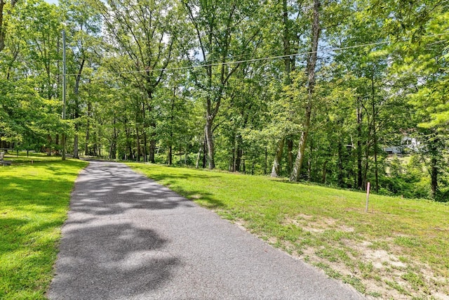 891 Fleetwood Dr, Lookout Mountain, TN 37350 - photo 8