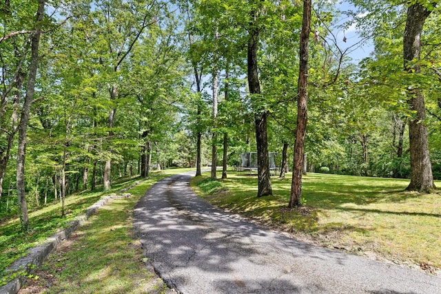 891 Fleetwood Dr, Lookout Mountain, TN 37350 - photo 5
