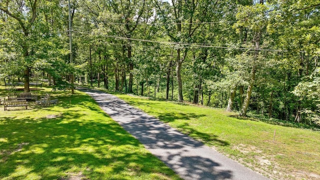 891 Fleetwood Dr, Lookout Mountain, TN 37350 - photo 25