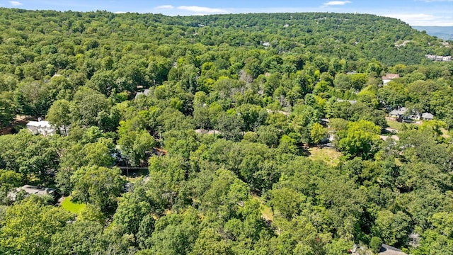 891 Fleetwood Dr, Lookout Mountain, TN 37350 - photo 21
