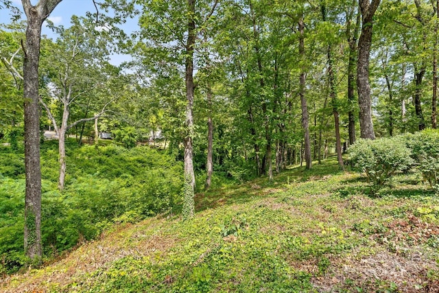 891 Fleetwood Dr, Lookout Mountain, TN 37350 - photo 3