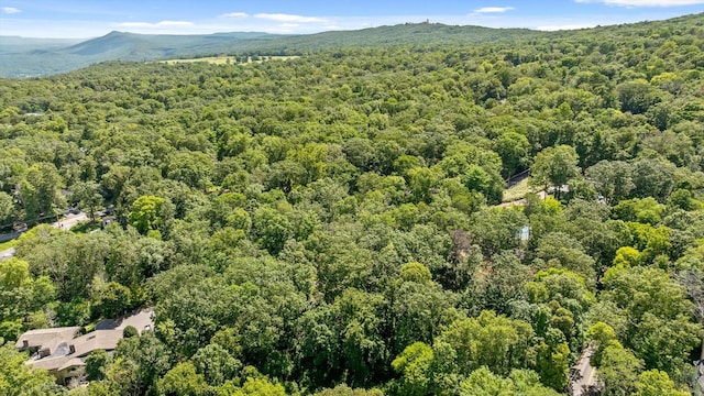 891 Fleetwood Dr, Lookout Mountain, TN 37350 - photo 18