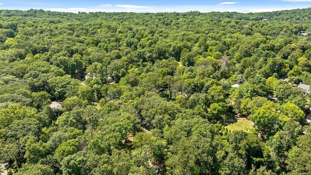 891 Fleetwood Dr, Lookout Mountain, TN 37350 - photo 20