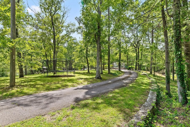 891 Fleetwood Dr, Lookout Mountain, TN 37350 - photo 7