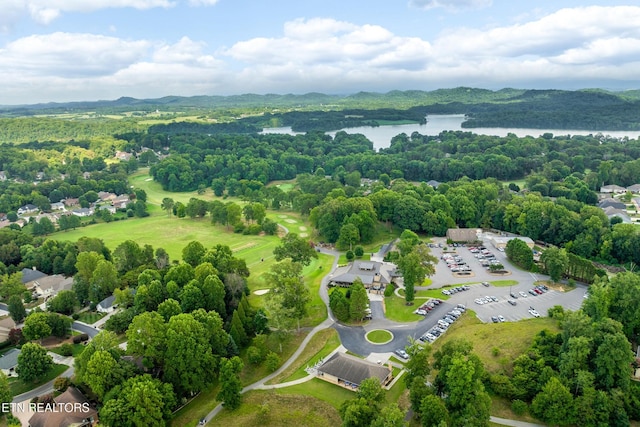 123 Inata Cir, Loudon, TN 37774 - photo 52