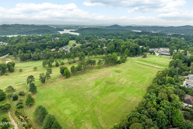 123 Inata Cir, Loudon, TN 37774 - photo 57
