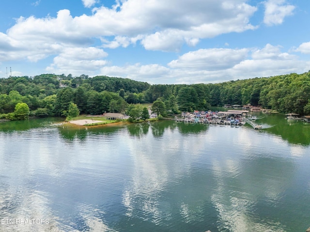 123 Inata Cir, Loudon, TN 37774 - photo 51