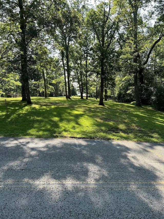 0 Fleetwood Dr, Lookout Mountain, GA 30750 - photo 2