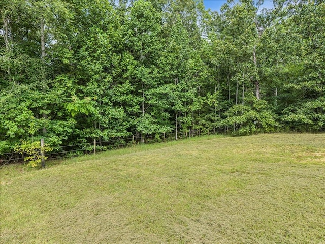 0 Magnolia Ln, Normandy, TN 37360 - photo 16