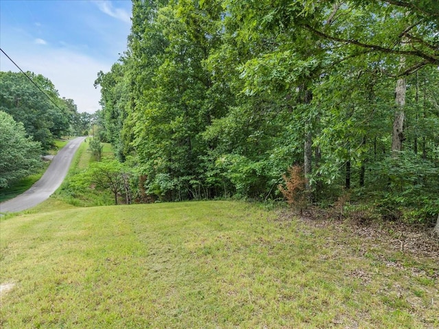 0 Magnolia Ln, Normandy, TN 37360 - photo 18