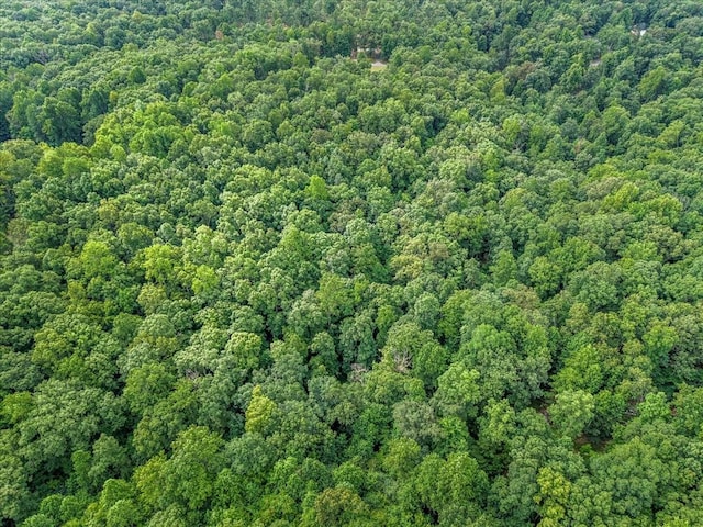 0 Magnolia Ln, Normandy, TN 37360 - photo 19