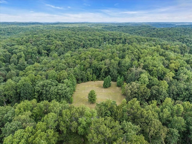 0 Magnolia Ln, Normandy, TN 37360 - photo 15