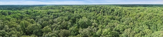 0 Magnolia Ln, Normandy, TN 37360 - photo 20