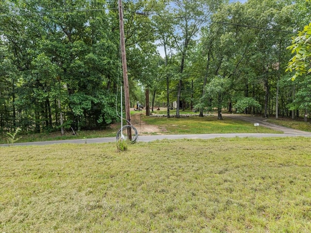0 Magnolia Ln, Normandy, TN 37360 - photo 13