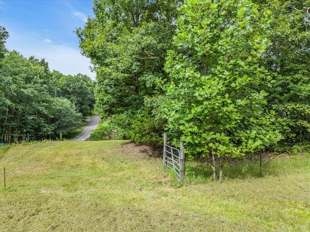 0 Magnolia Ln, Normandy, TN 37360 - photo 5