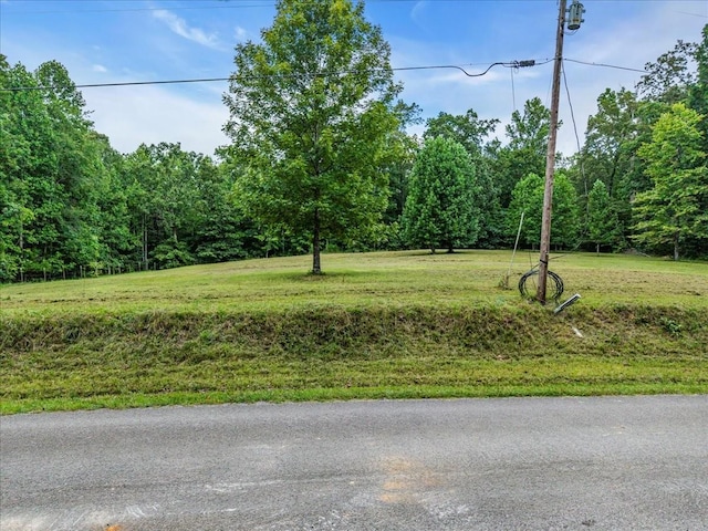 0 Magnolia Ln, Normandy, TN 37360 - photo 2