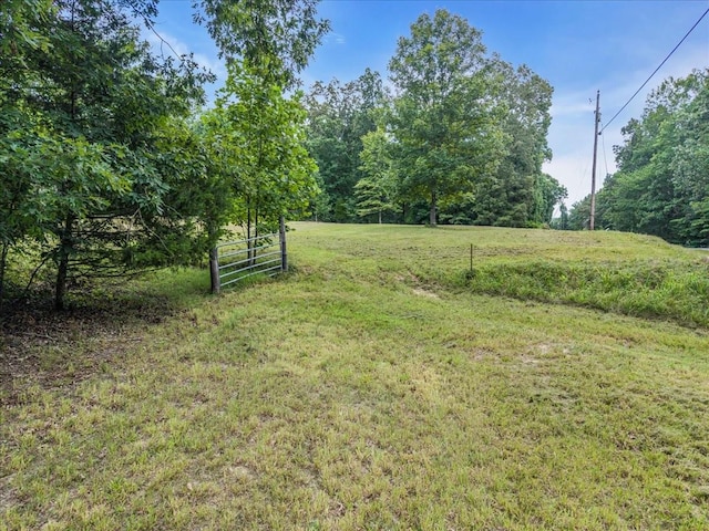 0 Magnolia Ln, Normandy, TN 37360 - photo 4