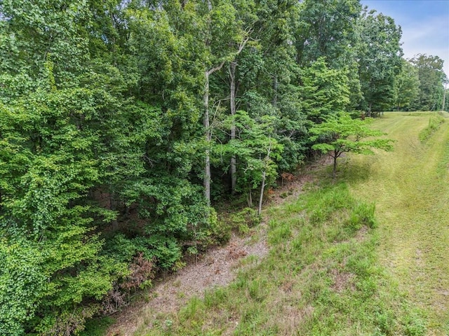 0 Magnolia Ln, Normandy, TN 37360 - photo 7