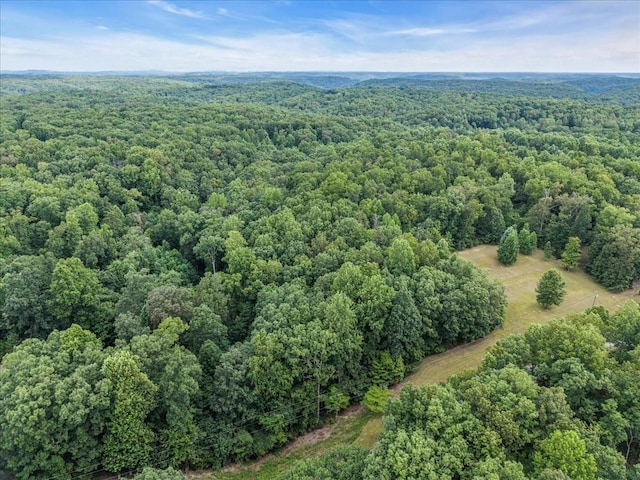 0 Magnolia Ln, Normandy, TN 37360 - photo 9