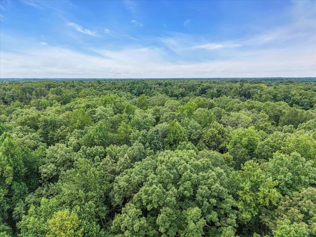 0 Magnolia Ln, Normandy, TN 37360 - photo 12