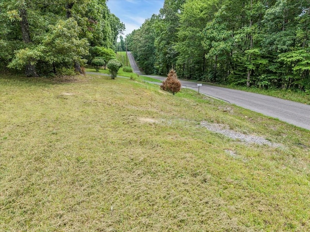 0 Magnolia Ln, Normandy, TN 37360 - photo 8