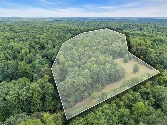 0 Magnolia Ln, Normandy, TN 37360 - photo 1