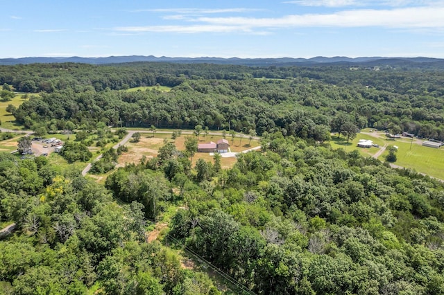 5065 Craddock Rd, Lascassas, TN 37085 - photo 47