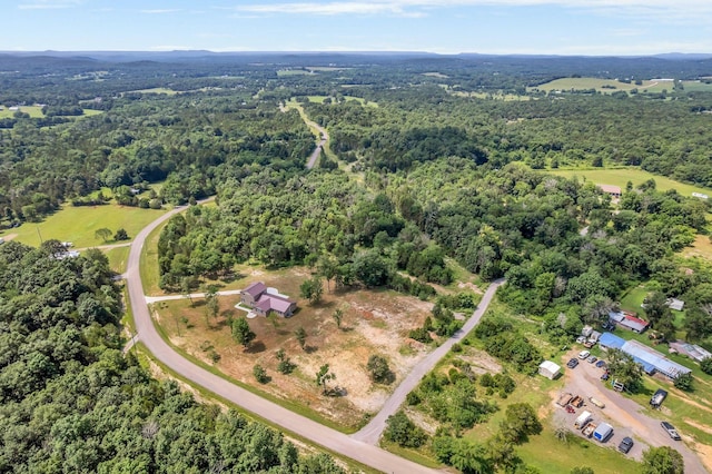 5065 Craddock Rd, Lascassas, TN 37085 - photo 49