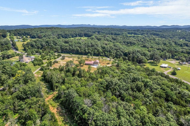 5065 Craddock Rd, Lascassas, TN 37085 - photo 46