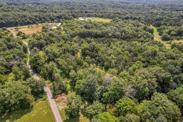 5065 Craddock Rd, Lascassas, TN 37085 - photo 48