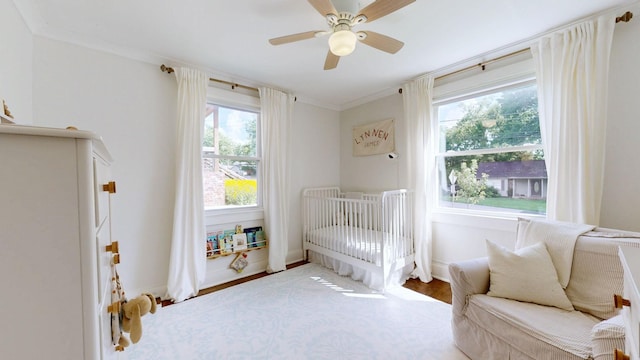 1239 Mcalpine Ave, Nashville, TN 37216 - photo 16