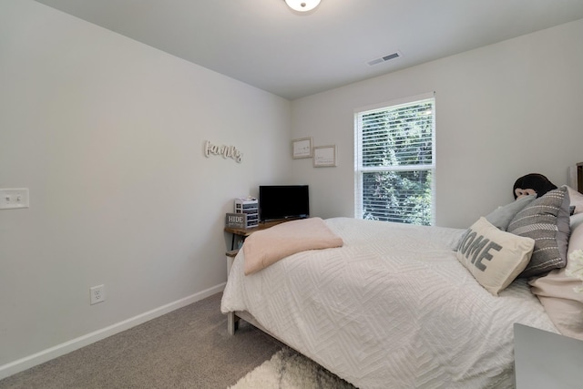 2905 Eckersley Dr, Murfreesboro, TN 37128 - photo 28