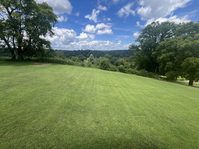 464 Ables Ln, Pulaski, TN 38478 - photo 39
