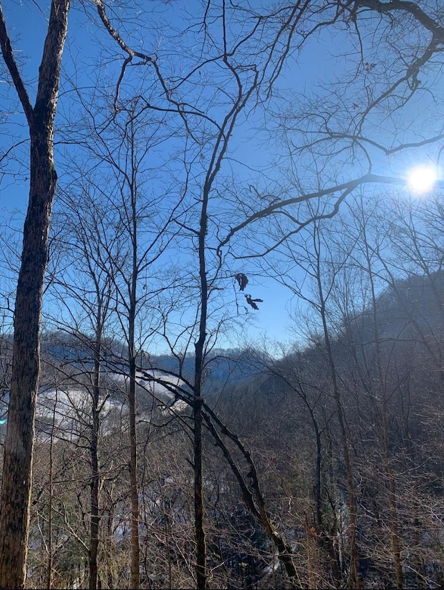 91 Carver Hollow Rd, Pleasant Shade, TN 37145 - photo 22