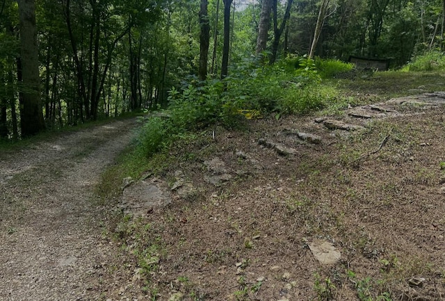 91 Carver Hollow Rd, Pleasant Shade, TN 37145 - photo 18