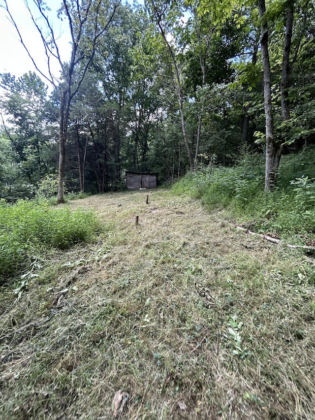 91 Carver Hollow Rd, Pleasant Shade, TN 37145 - photo 28