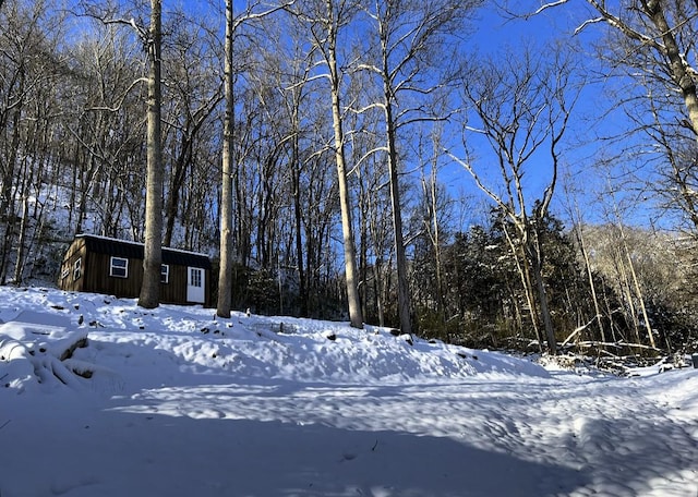 91 Carver Hollow Rd, Pleasant Shade, TN 37145 - photo 21