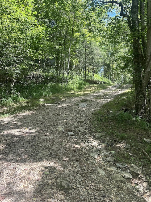 91 Carver Hollow Rd, Pleasant Shade, TN 37145 - photo 25
