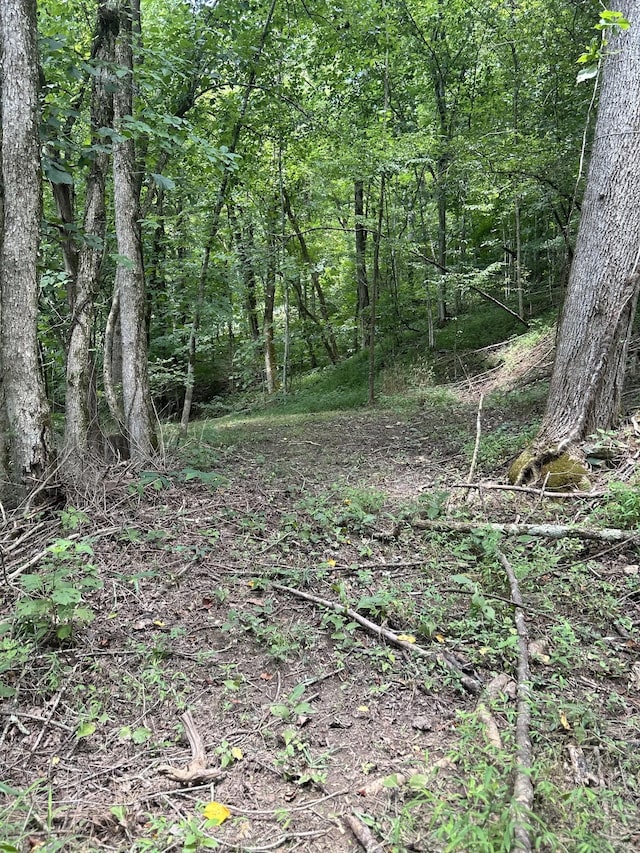 91 Carver Hollow Rd, Pleasant Shade, TN 37145 - photo 29