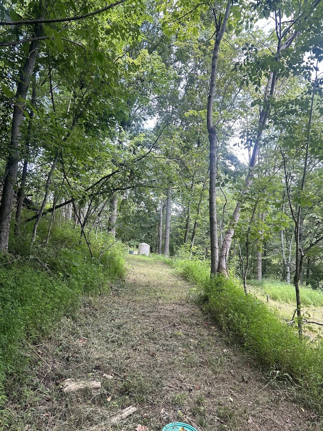 91 Carver Hollow Rd, Pleasant Shade, TN 37145 - photo 26