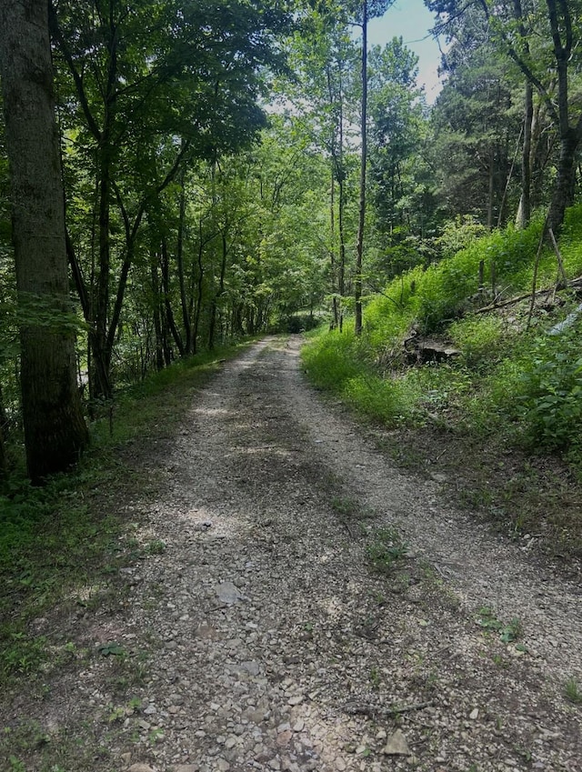 91 Carver Hollow Rd, Pleasant Shade, TN 37145 - photo 19