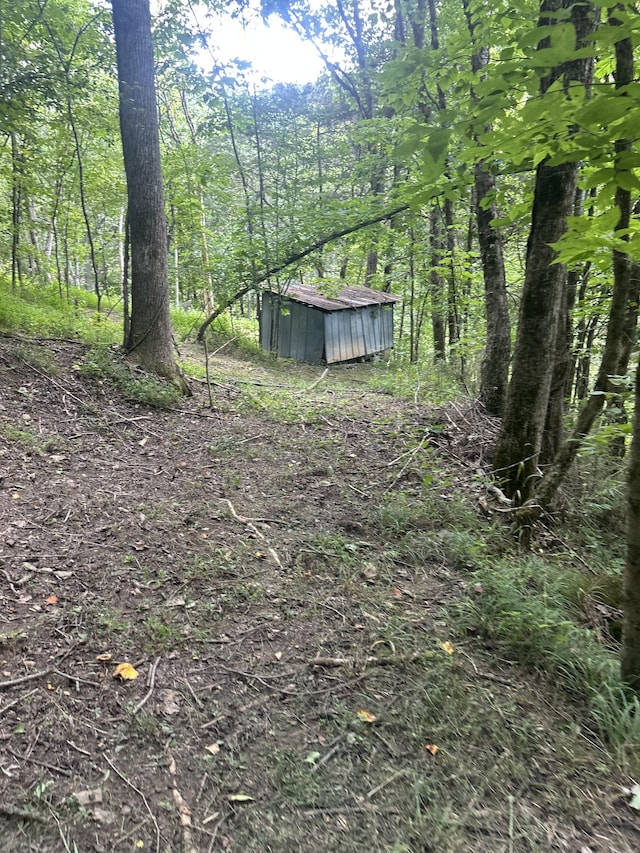 91 Carver Hollow Rd, Pleasant Shade, TN 37145 - photo 27
