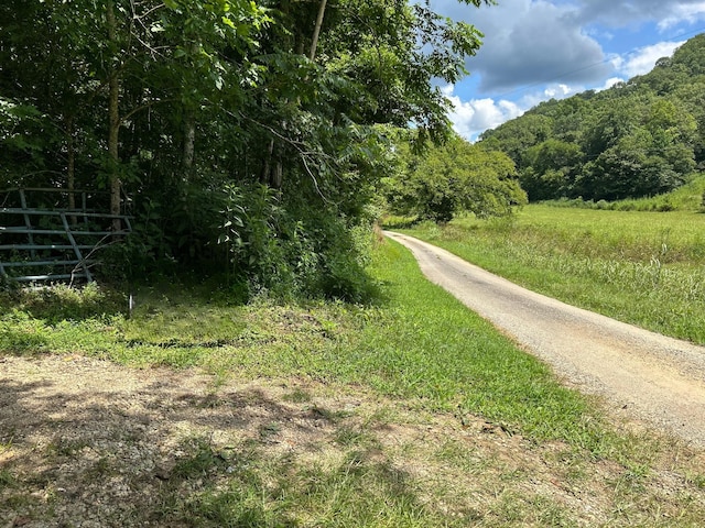 91 Carver Hollow Rd, Pleasant Shade, TN 37145 - photo 31