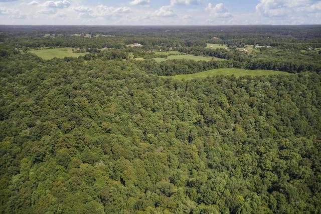 0 Creed Wright Rd, Walling, TN 38587 - photo 7